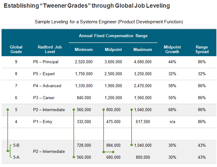 Global Job Leveling At Radford A Tailor Made Approach For Companies 